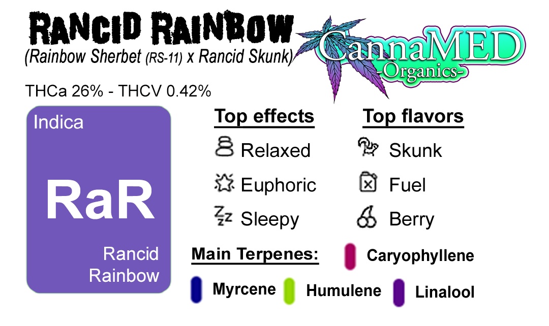 Rancid Rainbow / 1/8